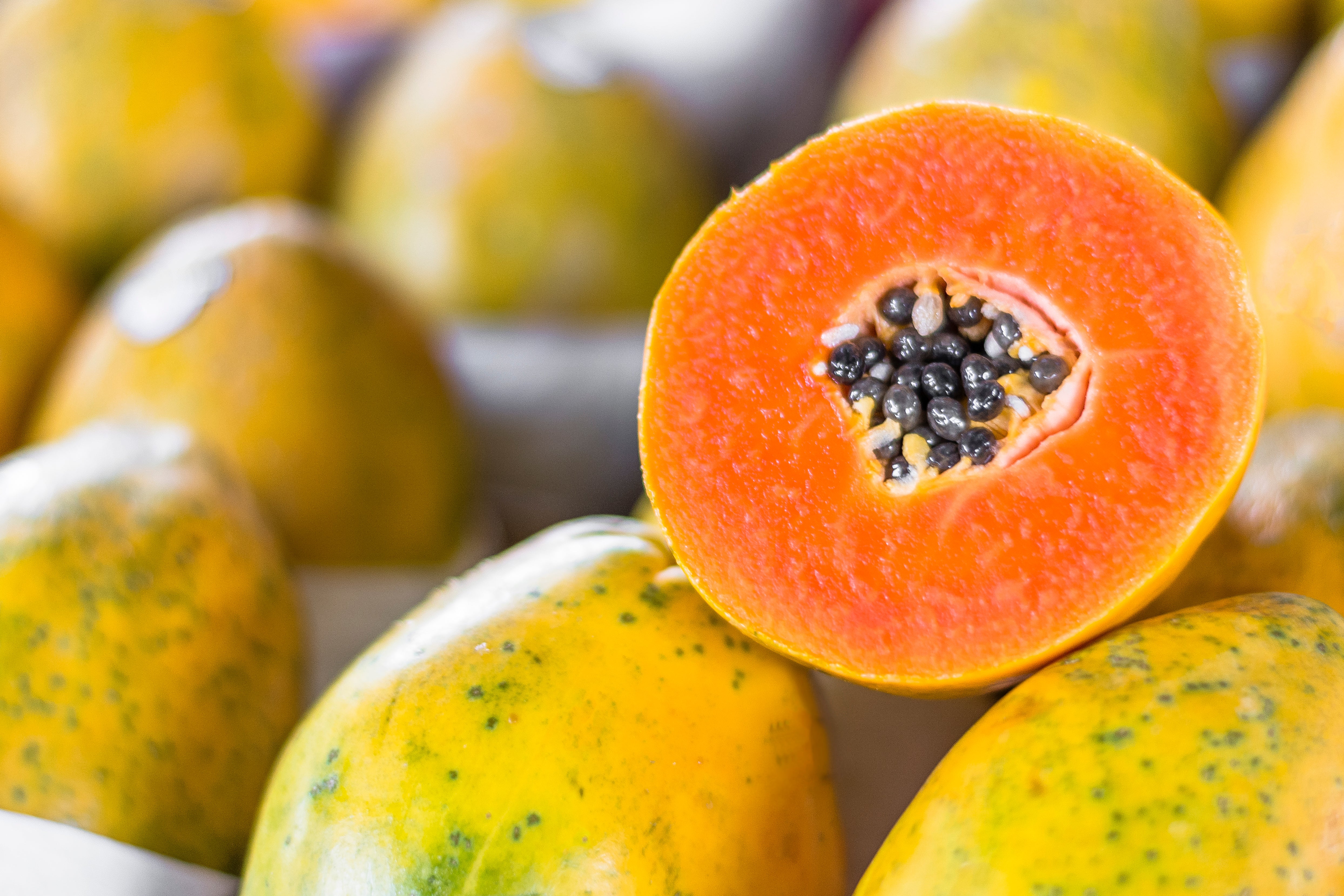 Papaya Leaf Extract