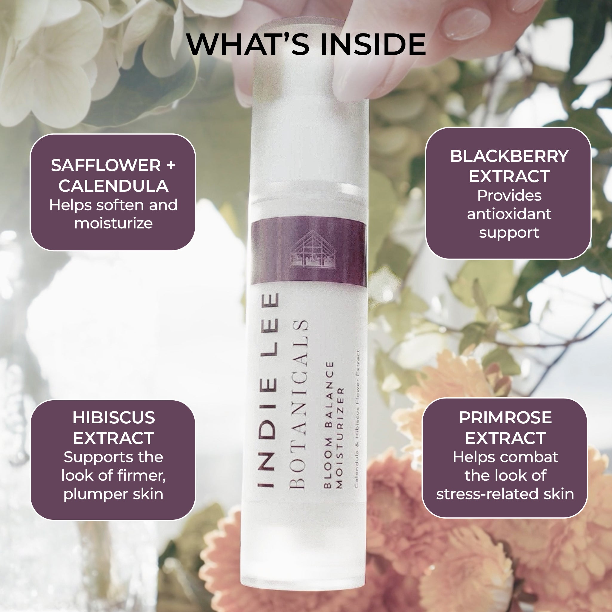 Indie Lee Botanicals Bloom Balance Moisturizer with ingredients listed on a floral background