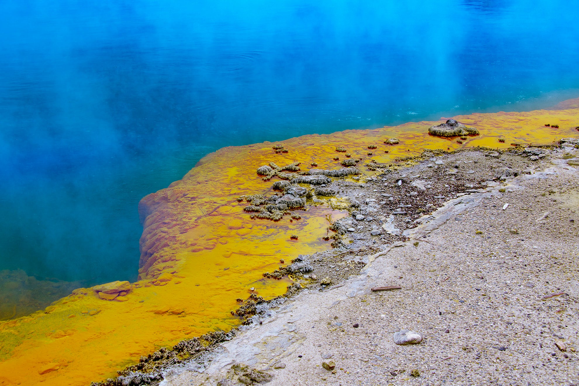 Colloidal Sulfur