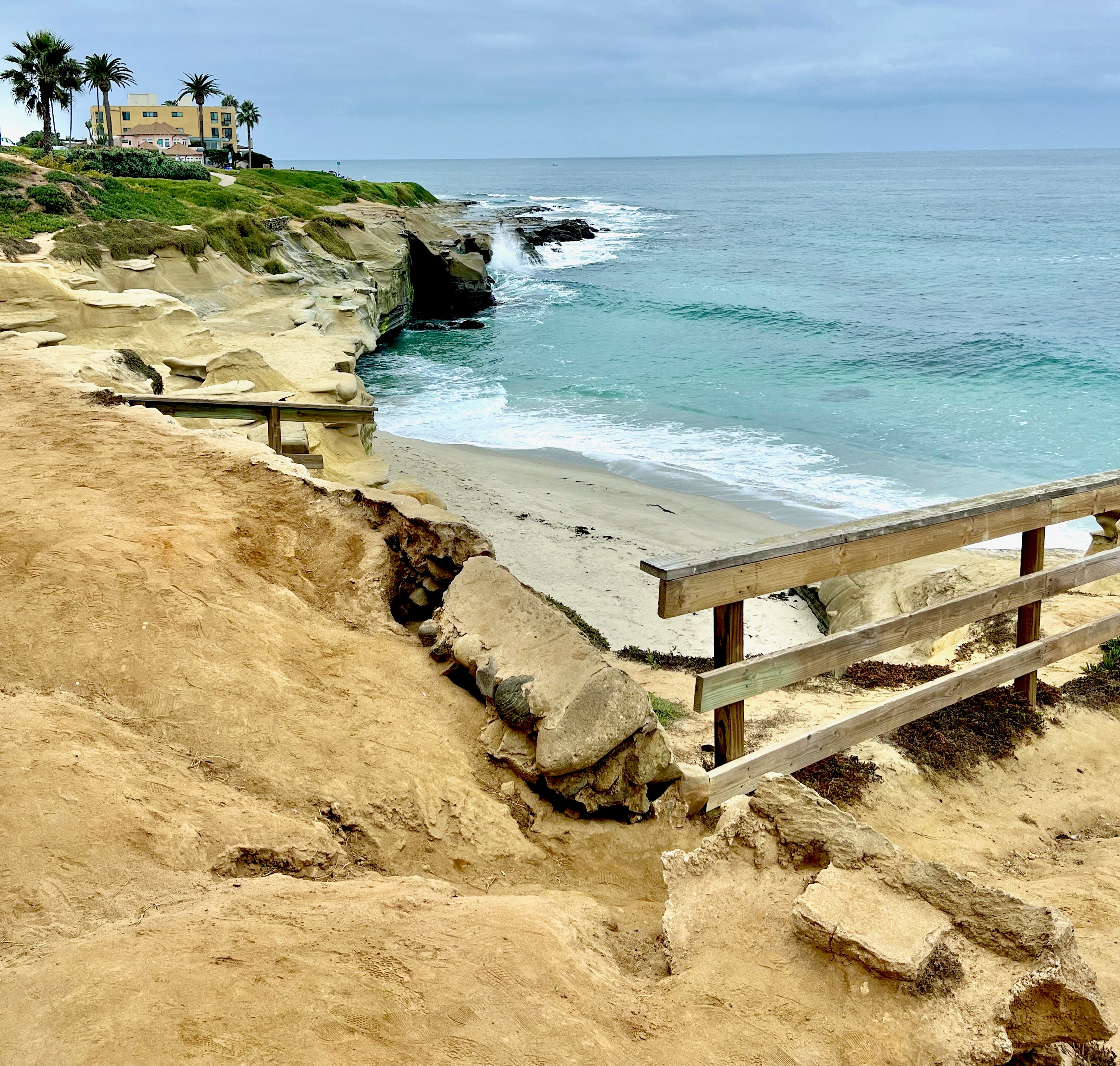 Reconnecting with Nature: The Transformative Power of Daily Reflection