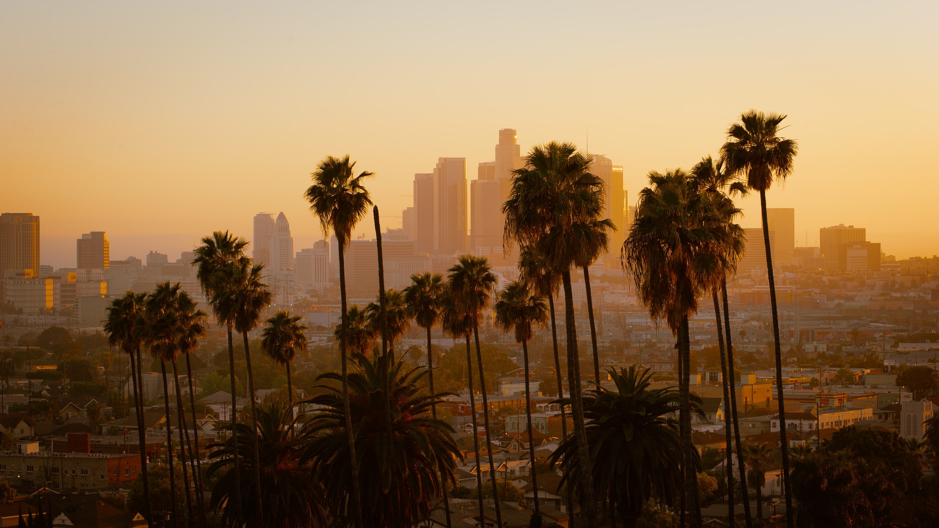 January 15, 2023 LA | Meet & Greet with Indie Lee