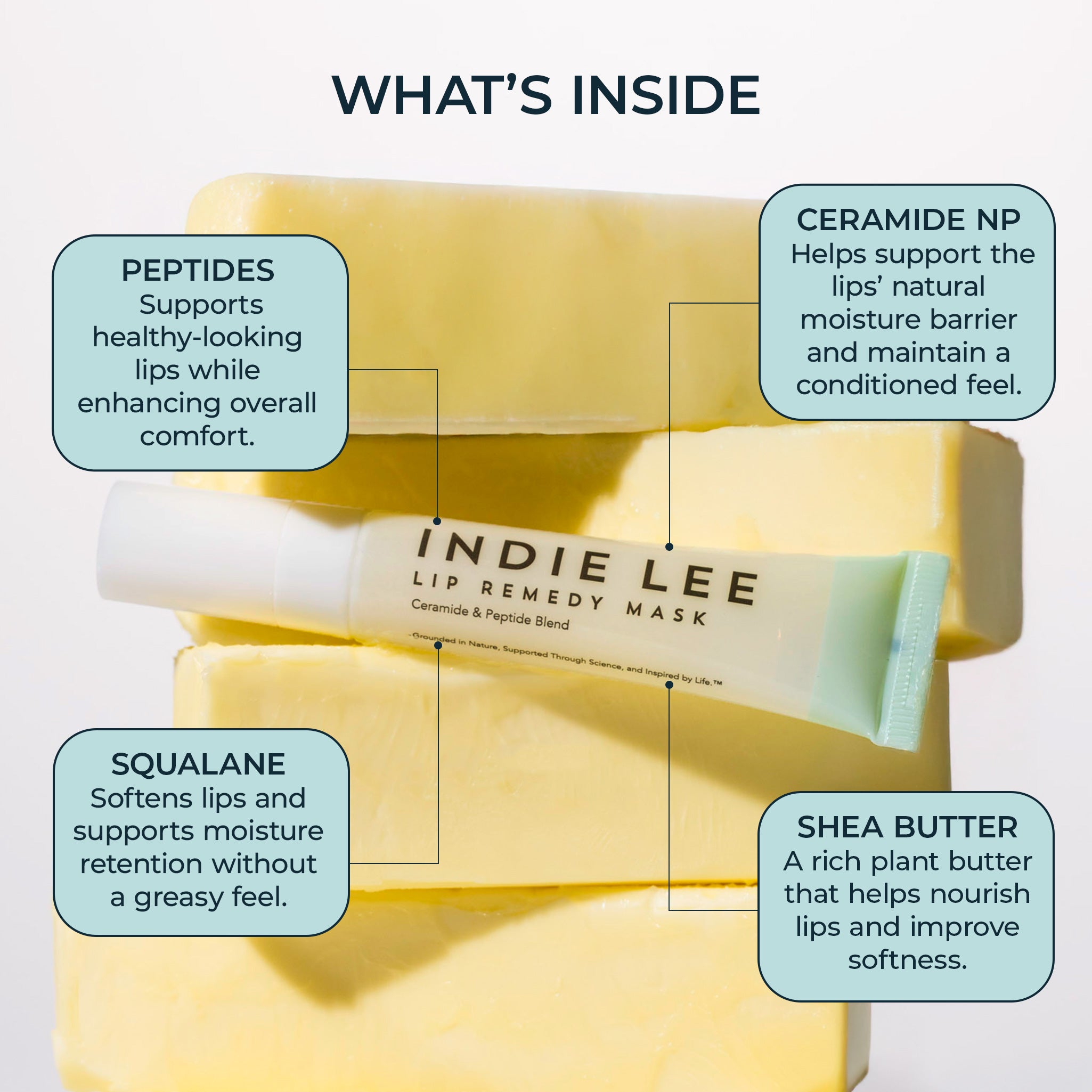 Indie Lee lip remedy mask on blocks of shea butter with ingredient callouts.