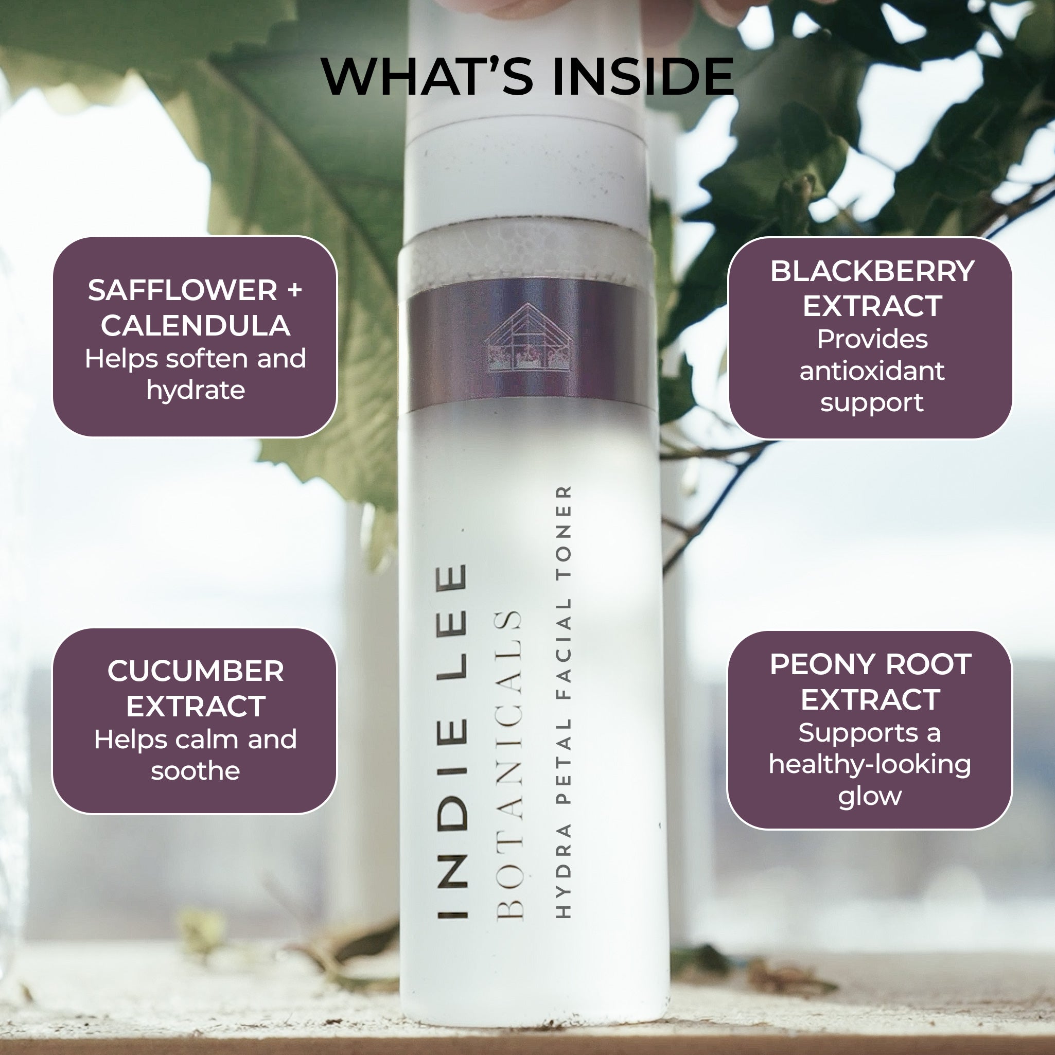 Indie Lee Botanicals Hydra Petal Facial Toner with ingredients listed on a natural background