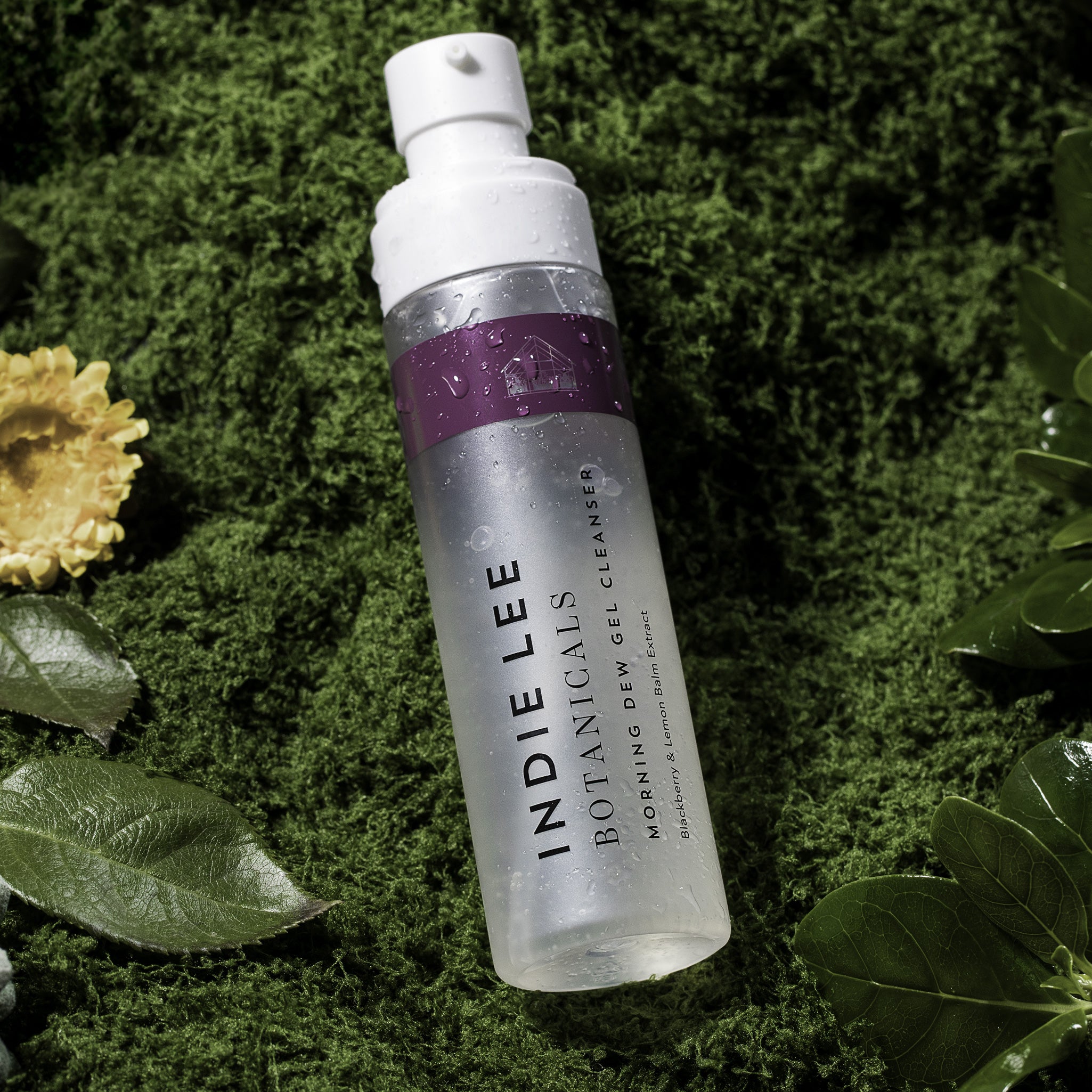 Indie Lee Botanicals skincare product on a green leafy background